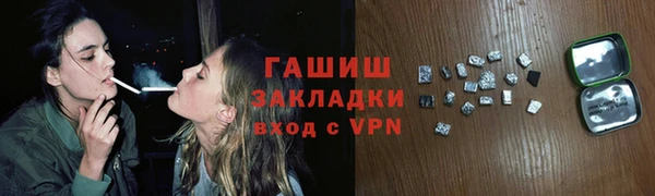 хмурый Арсеньев
