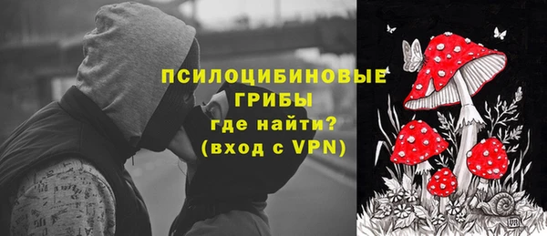 хмурый Арсеньев