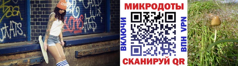 купить   Лангепас  Псилоцибиновые грибы Psilocybine cubensis 
